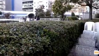 《夜色av网站》免费在线观看-BD国语中字完整版在线观看-大白影视
